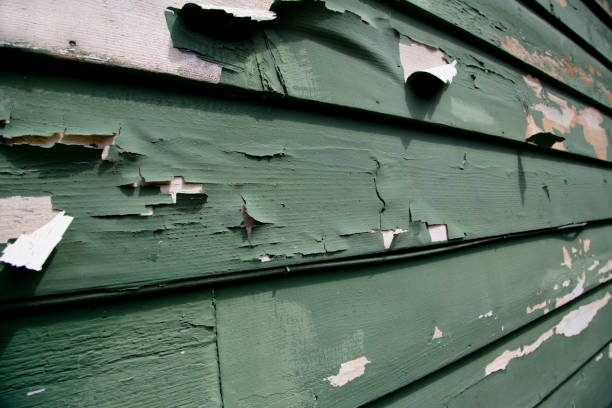 Best Shed Removal  in North Lindenhurst, NY